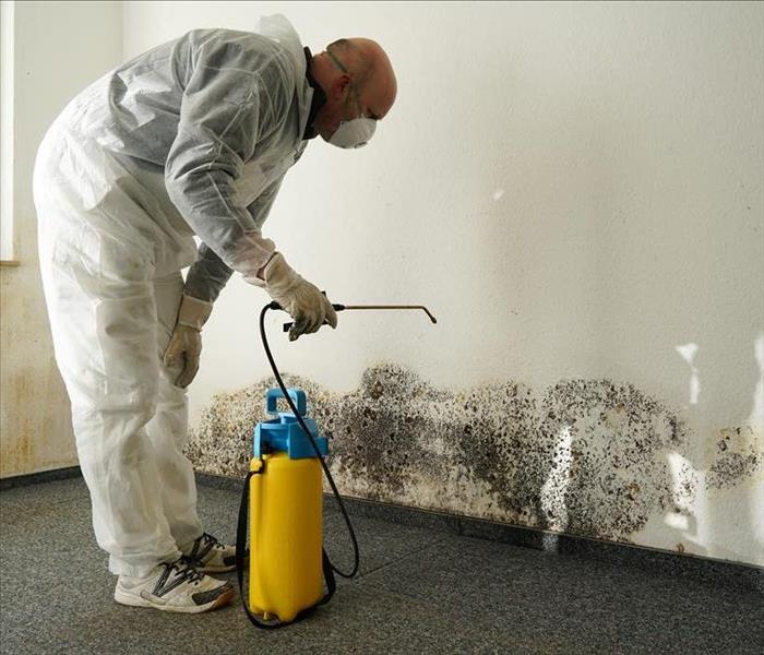 A Person Mold Suit Spraying mold covered wall