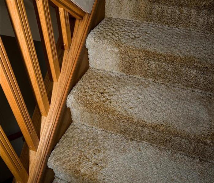 Image of the carpet from a stair damaged wih water