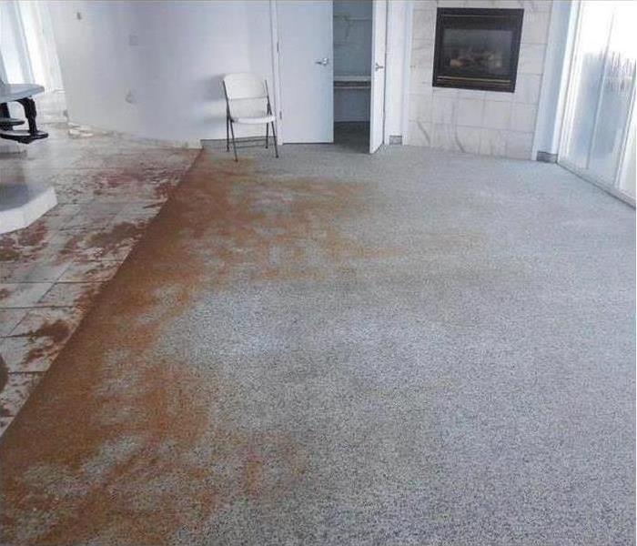 Living room carpet damaged with water and left with mud residue. 