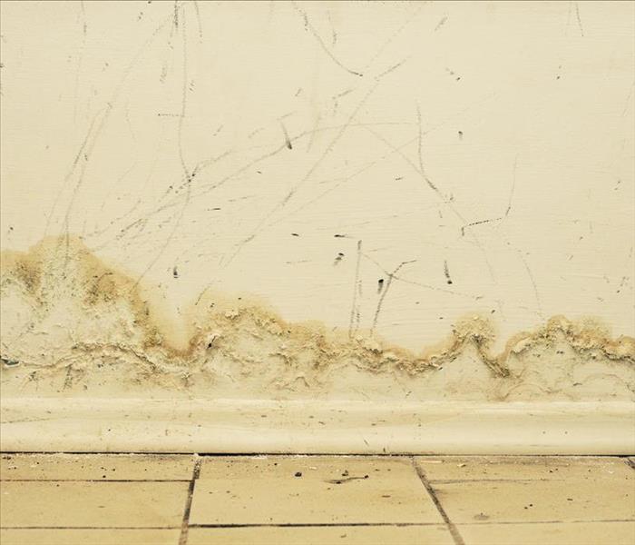 Mold caused by water damage on a wall.